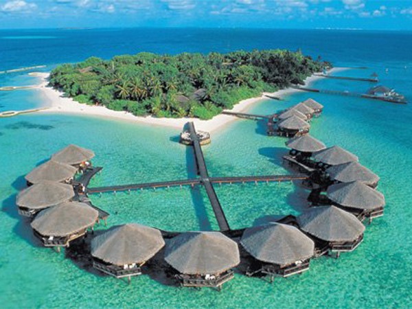 Tìm người sở hữu chuyến bay miễn phí đến Maldives ảnh 1