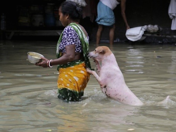 Ấn Độ: Lũ lụt, lở đất khiến 75 người thiệt mạng ảnh 1