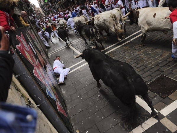 Tây Ban Nha: 7 người bị bò tót húc chết tại các lễ hội ảnh 1