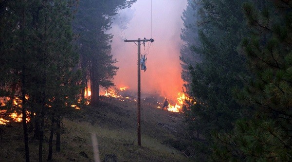 Ba lính cứu hỏa thiệt mạng trong vụ cháy rừng tại Washington ảnh 1