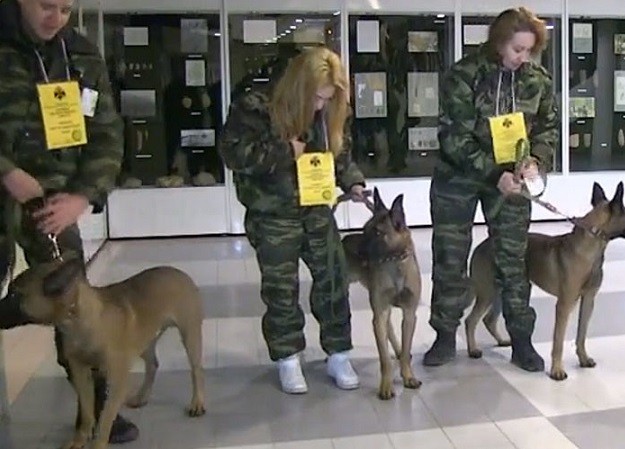 Cảnh sát Nga tiếp nhận chó nghiệp vụ nhân bản vô tính ảnh 1