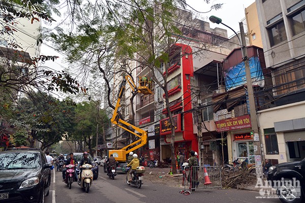 Hà Nội triển khai thiết bị cắt tỉa cây xanh bằng xe tự hành chuyên dụng ảnh 1