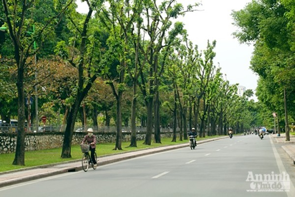 Hà Nội triển khai thiết bị cắt tỉa cây xanh bằng xe tự hành chuyên dụng ảnh 2