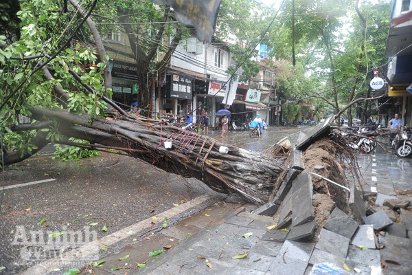 Lãnh đạo thành phố Hà Nội kiểm tra công tác khắc phục hậu quả mưa bão ảnh 4