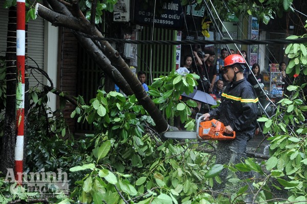 Lãnh đạo thành phố Hà Nội kiểm tra công tác khắc phục hậu quả mưa bão ảnh 5