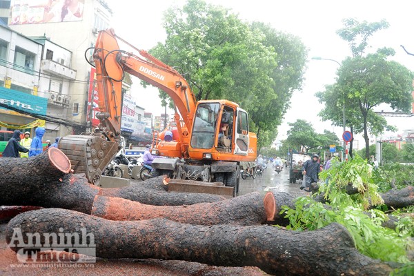 Lãnh đạo thành phố Hà Nội kiểm tra công tác khắc phục hậu quả mưa bão ảnh 3