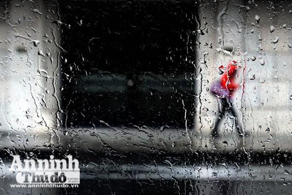 Hình ảnh người Hà Nội nhiều cảm xúc đón mưa lạnh đầu Đông ảnh 3