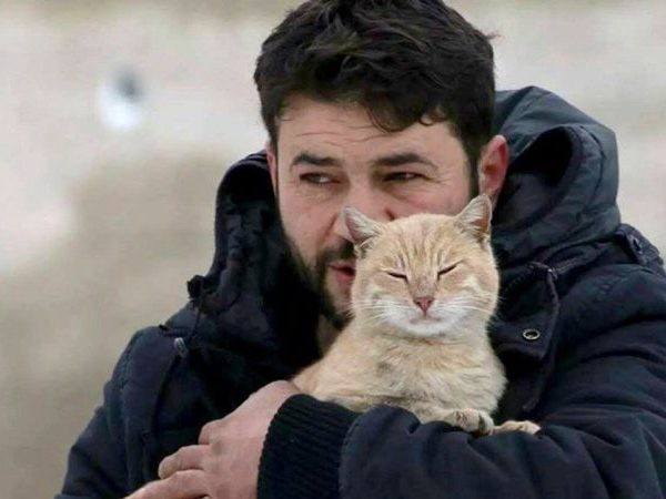 Syria: Mặc chiến tranh, người đàn ông vẫn ở lại Aleppo chăm mèo ảnh 1