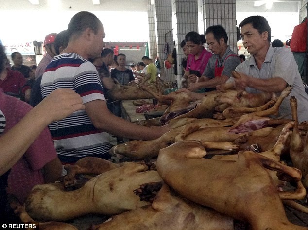 Bất chấp làn sóng phẫn nộ, lễ hội thịt chó vẫn diễn ra ở Trung Quốc ảnh 13