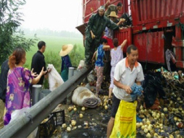 Trung Quốc: Tranh nhau hôi của 20 tấn lê bị đổ tràn xuống đường vì tai nạn ảnh 1
