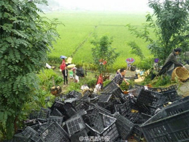 Trung Quốc: Tranh nhau hôi của 20 tấn lê bị đổ tràn xuống đường vì tai nạn ảnh 2