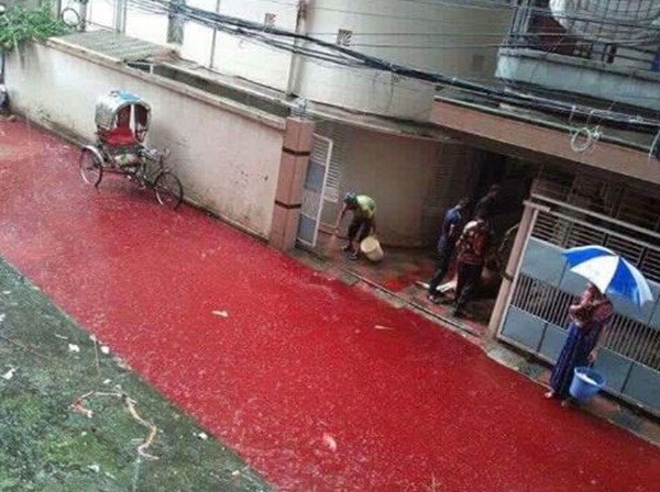 Đường phố Dhaka ngập chìm trong "dòng sông" máu