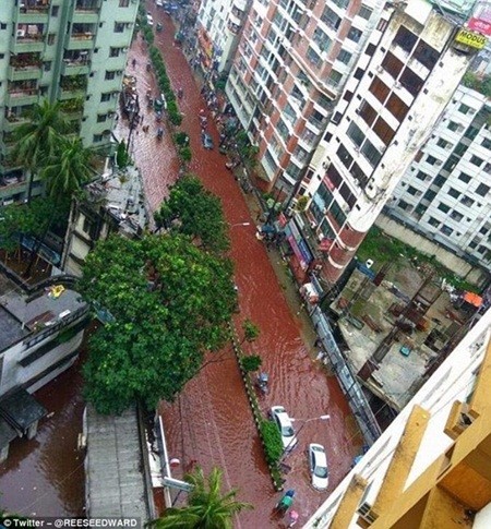Máu gia súc cùng nước lũ biến đường phố Dhaka thành dòng sông máu