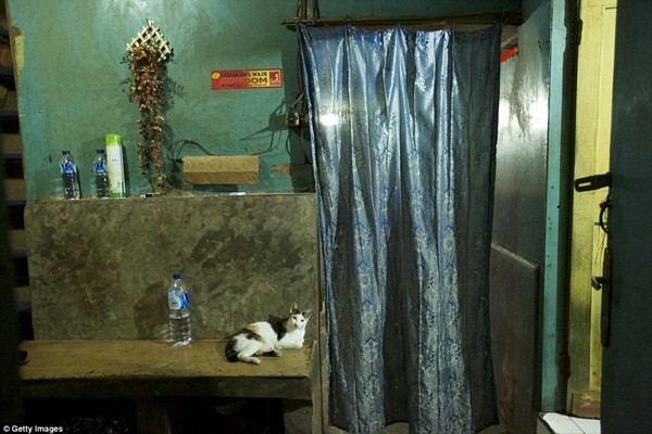 Dịch vụ mại dâm kỳ dị trong thế giới tình dục ngầm ở Indonesia ảnh 5