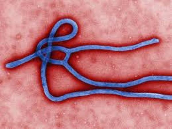 Đình chỉ việc thử nghiệm vắc-xin Ebola ảnh 1