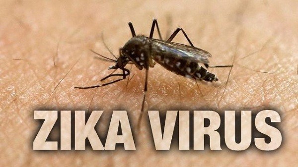 Bộ Y tế Thái Lan trấn an về tình hình lây lan virus Zika ảnh 1