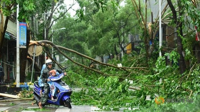 Tỉnh Hải Nam (Trung Quốc) "tê liệt" vì bão Sarika ảnh 1