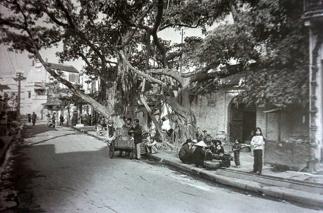 Nhớ chợ Đồng Xuân, phố Tô Tịch những năm 80 ảnh 10