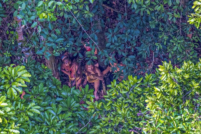 Hình ảnh hiếm hoi về bộ lạc không mặc quần áo, 4 năm di cư một lần ở Brazil ảnh 1