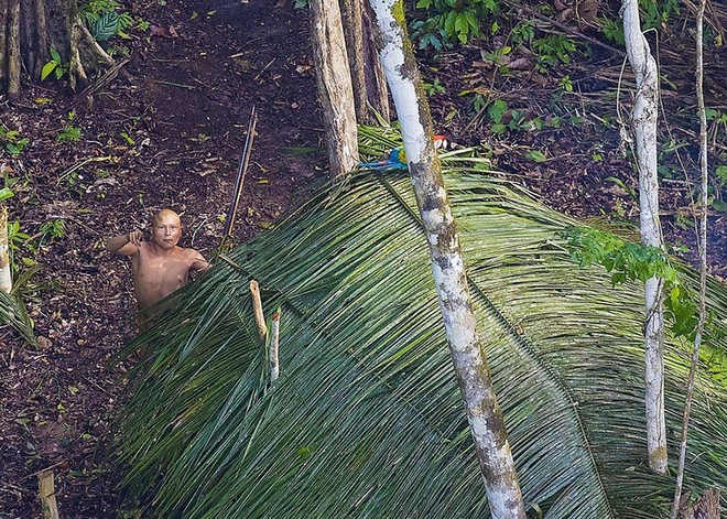 Hình ảnh hiếm hoi về bộ lạc không mặc quần áo, 4 năm di cư một lần ở Brazil ảnh 5