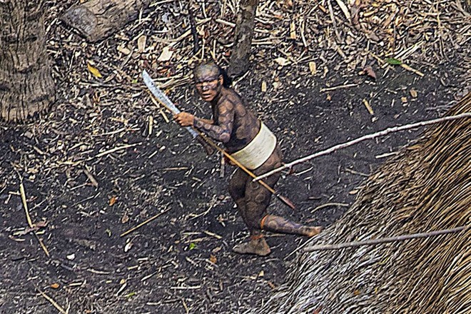 Hình ảnh hiếm hoi về bộ lạc không mặc quần áo, 4 năm di cư một lần ở Brazil ảnh 7