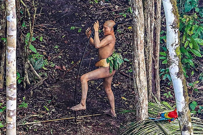 Hình ảnh hiếm hoi về bộ lạc không mặc quần áo, 4 năm di cư một lần ở Brazil ảnh 9