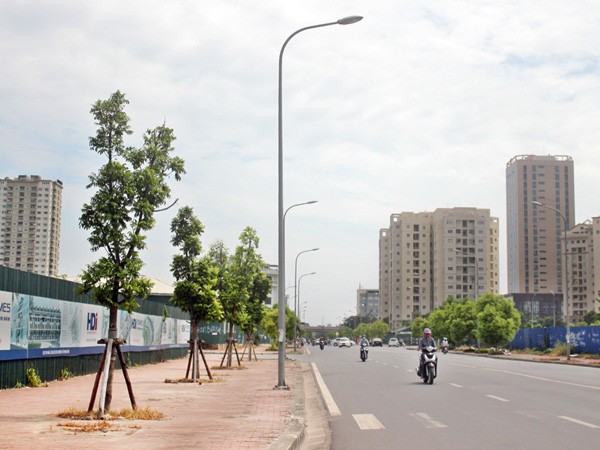 Hà Nội có thêm phố Mạc Thái Tổ, Trịnh Công Sơn ảnh 1
