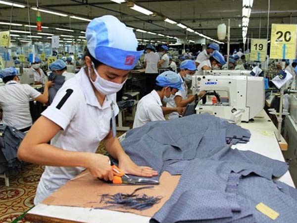 Nhiều cơ hội việc làm cho lao động Việt Nam ảnh 1