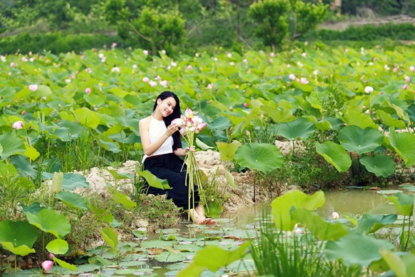 Nữ giảng viên Lương Giang khoe sắc ngọt ngào giữa đầm sen ảnh 7