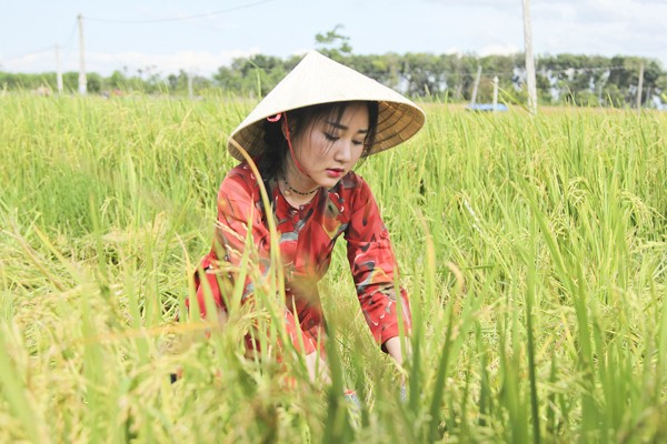 Project Runway Vietnam 2015: NTK Hải Yến "hoá thân" thôn nữ trên cánh đồng ảnh 4