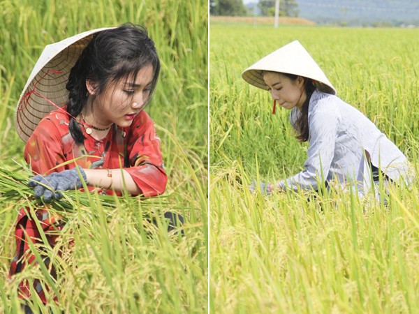 Project Runway Vietnam 2015: NTK Hải Yến "hoá thân" thôn nữ trên cánh đồng ảnh 11