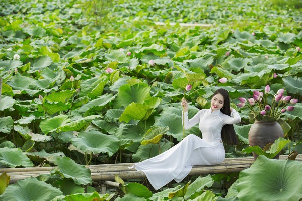 Hoa hậu Áo dài Biển Việt Nam Dương Kim Ánh đẹp thuần khiết bên hoa sen ảnh 10