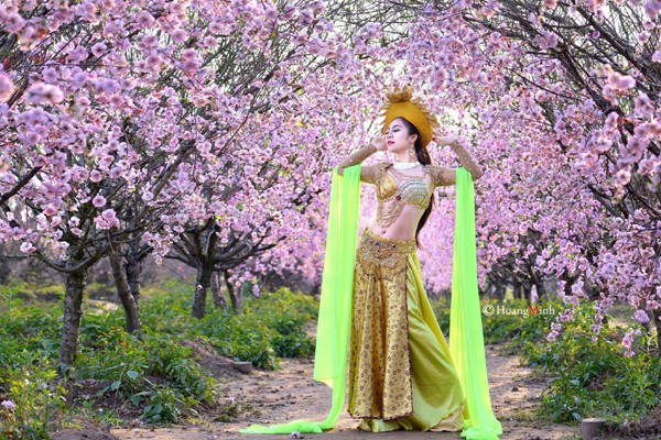 "Cô gái vàng" bellydance Đỗ Hồng Hạnh quyến rũ trong bộ ảnh xuân ảnh 2