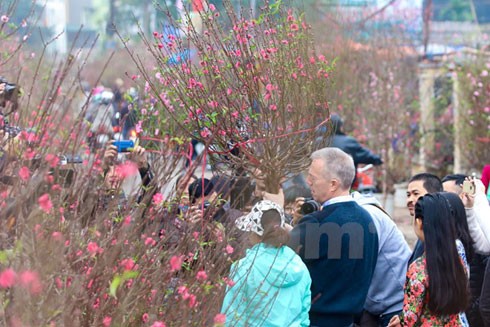 Đi chợ hoa Quảng An, Đại sứ Mỹ bật mí kế hoạch nghỉ Tết Nguyên đán ảnh 3