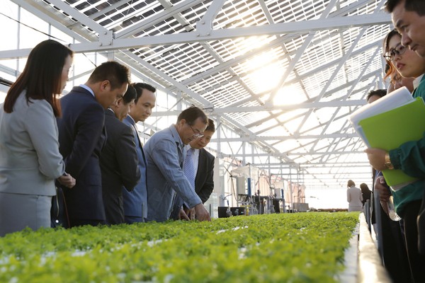 Bắt tay đối tác Nhật, FLC dự kiến đầu tư 1,5 tỷ USD vào nông nghiệp công nghệ cao Việt Nam ảnh 3