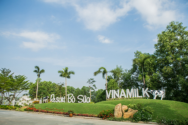 "Resort" bò sữa Vinamilk Tây Ninh – ngôi nhà lý tưởng của những cô bò hạnh phúc ảnh 1