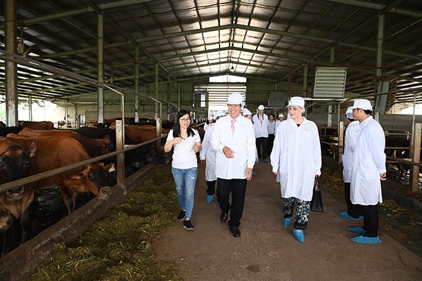 Sữa Cô gái Hà Lan vinh dự đón tiếp Thứ trưởng Hà Lan thăm dự án phát triển vùng chăn nuôi bò sữa bền vững Hà Nam ảnh 1