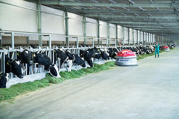 Công ty bò sữa Việt Nam (thuộc Vinamilk) vào Top tăng trưởng nhanh nhất Việt Nam ảnh 3