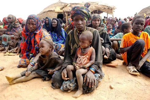 Hàng chục người thiệt mạng do bạo lực sắc tộc tại Mali ảnh 1