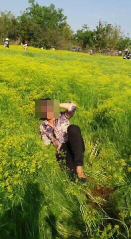 Chủ cánh đồng hoa thì là "hot" nhất Ninh Thuận: Mong du khách không giẫm đạp lên hoa ảnh 3