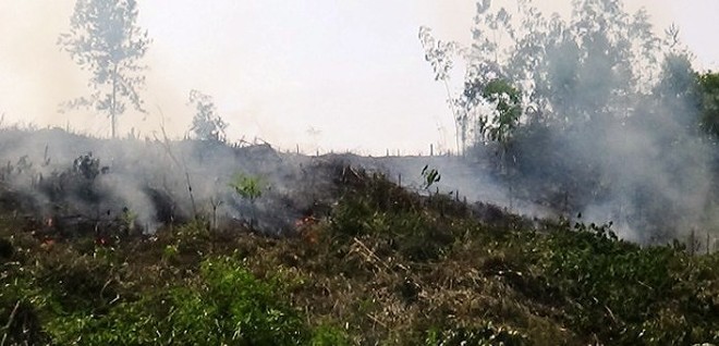 Đắk Lắk: Điều tra vụ phá rừng cao su, phóng hỏa đốt trụi hơn 3ha để xóa dấu vết ảnh 2