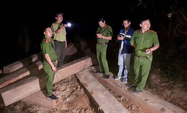 Đắk Lắk: Đình chỉ công tác Giám đốc Công ty lâm nghiệp M’Đrắk để mất rừng ảnh 1