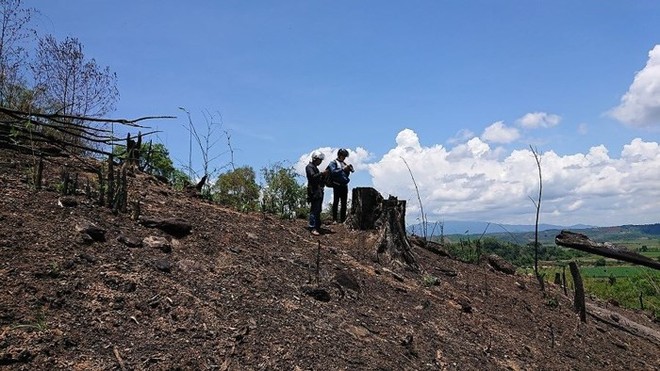Đề nghị kiểm tra, xử lý vụ huỷ hoại rừng đặc dụng Nam Kar ảnh 1