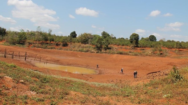 Hơn 2200 hộ dân thiếu nước sinh hoạt và hơn 4000 ha cây trồng bị khô hạn nặng ảnh 1