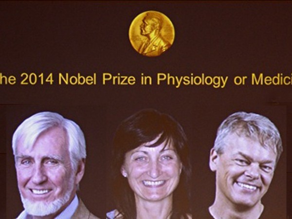 Nobel Y học 2014 dành cho hệ thống định vị sinh học ảnh 1