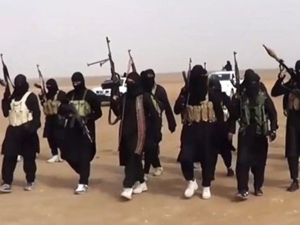 Bị Mỹ không kích, tổ chức Nhà nước Hồi giáo không chiếm được thị trấn Kobane (Syria) ảnh 1