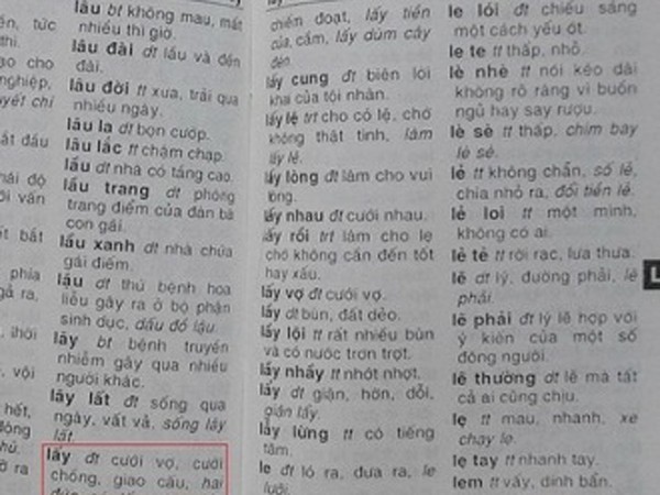 Phải thu hồi cuốn từ điển mắc nhiều lỗi ngô nghê ảnh 2