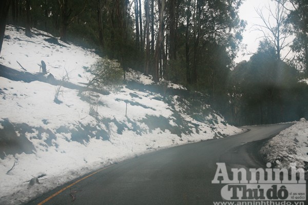 Bảy ngày vòng quanh Australia (3): Lên đỉnh núi ngắm tuyết rơi ảnh 4
