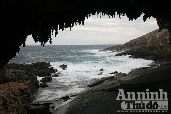 Bảy ngày vòng quanh Australia (4): Độc đáo đảo Kangaroo! ảnh 3