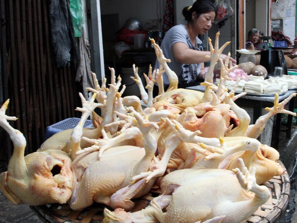 Gà "ngoại" phá giá phá thị trường Việt Nam ảnh 2
